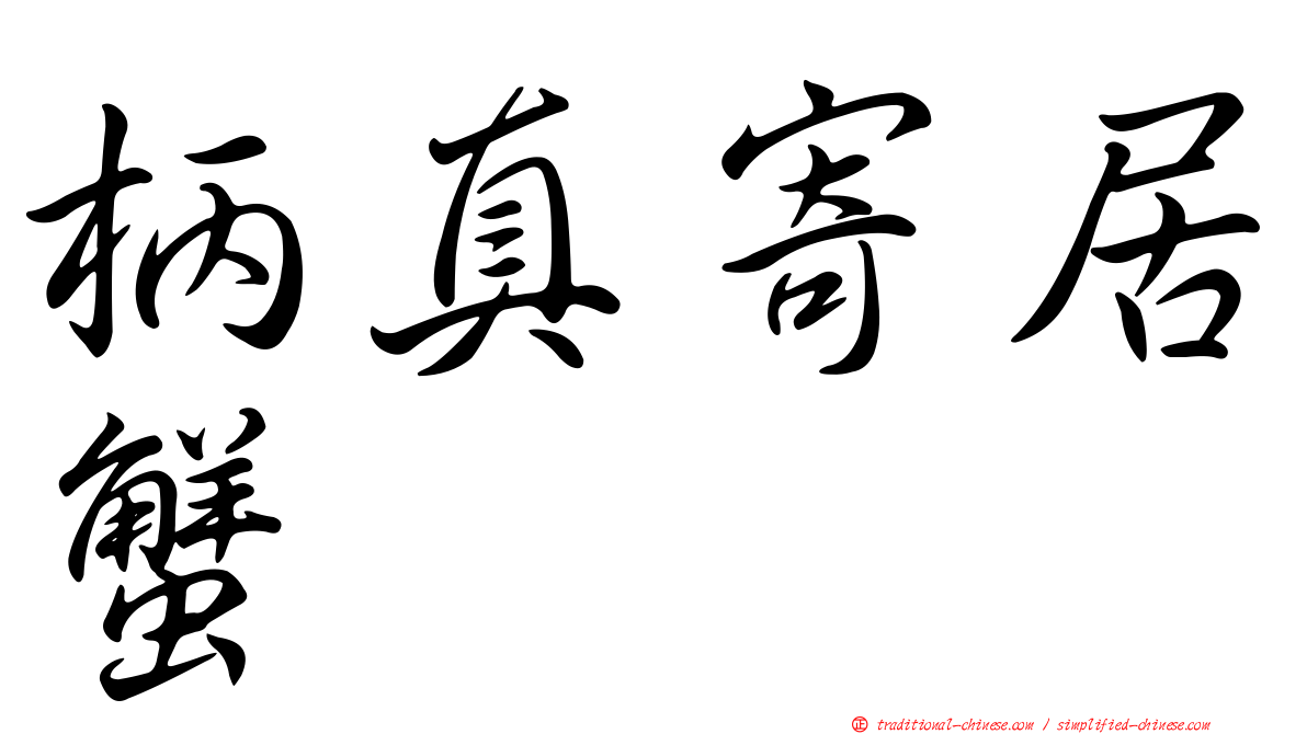 柄真寄居蟹