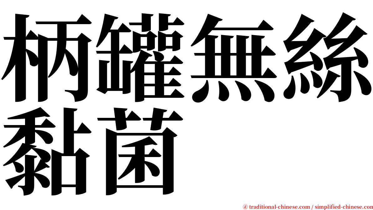 柄罐無絲黏菌 serif font