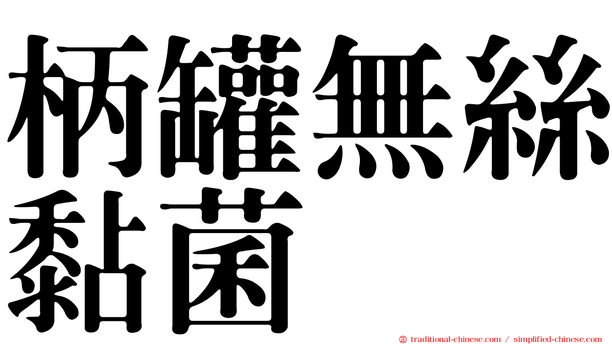 柄罐無絲黏菌