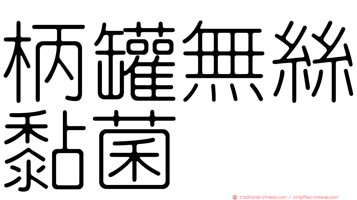 柄罐無絲黏菌