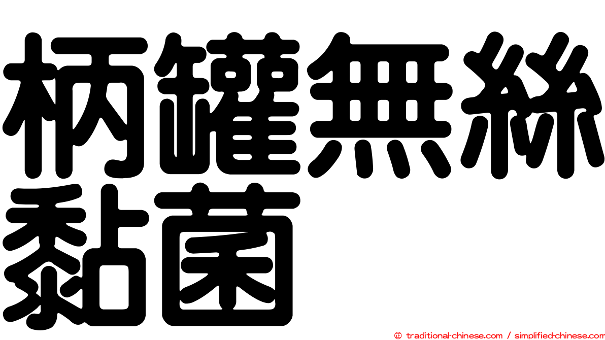 柄罐無絲黏菌