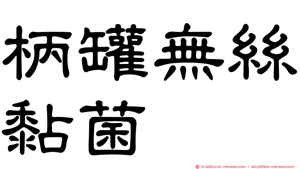 柄罐無絲黏菌