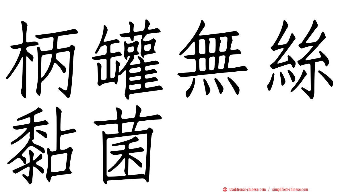 柄罐無絲黏菌