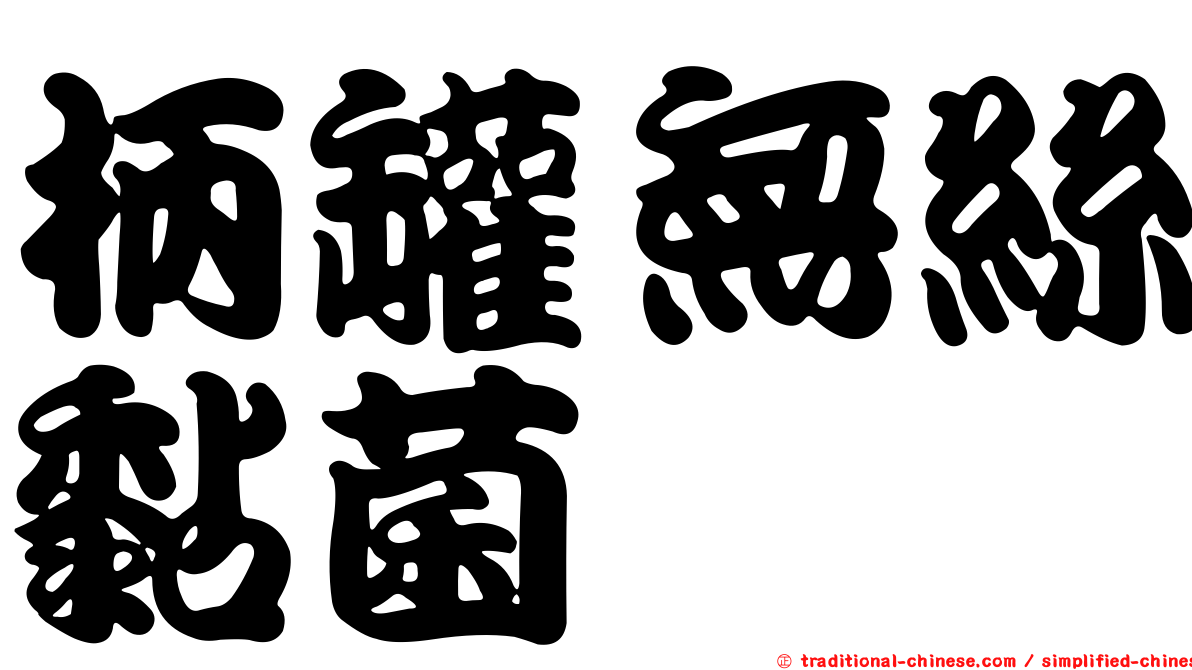柄罐無絲黏菌