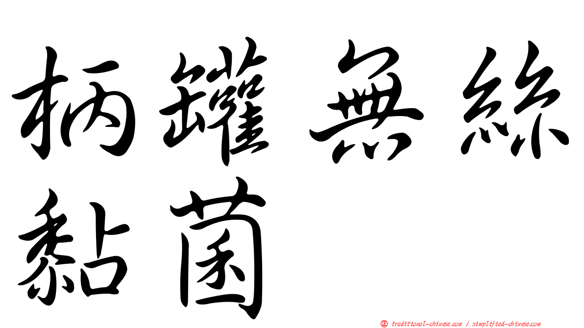 柄罐無絲黏菌