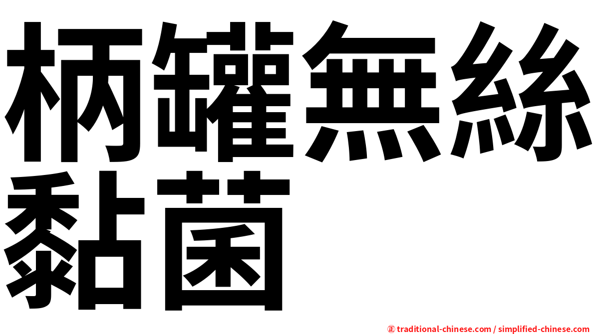 柄罐無絲黏菌