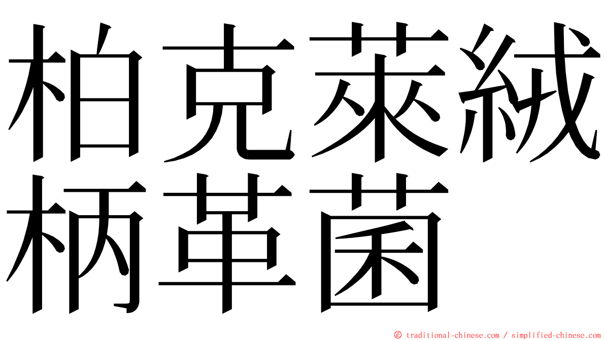 柏克萊絨柄革菌 ming font
