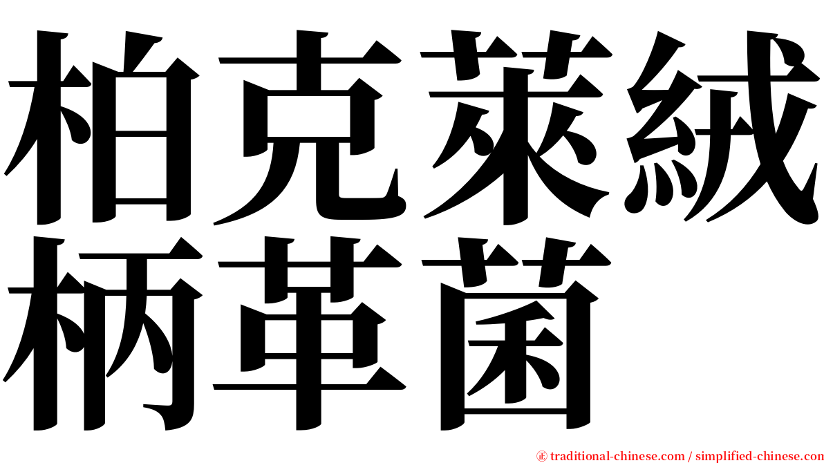柏克萊絨柄革菌 serif font