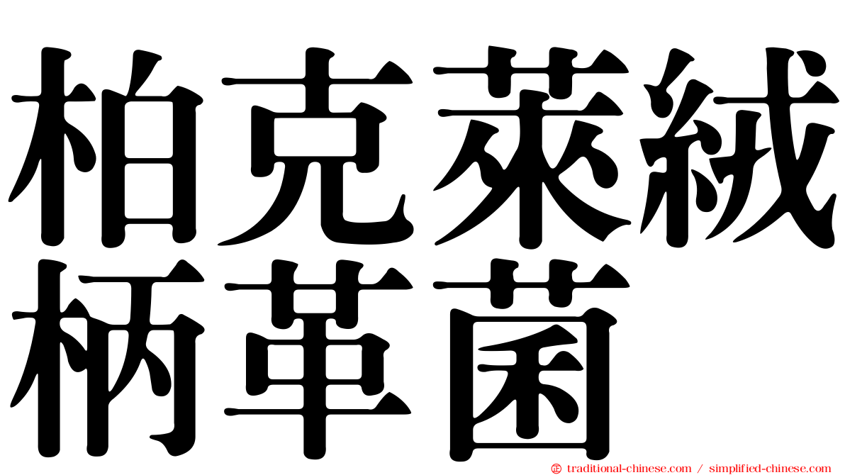 柏克萊絨柄革菌