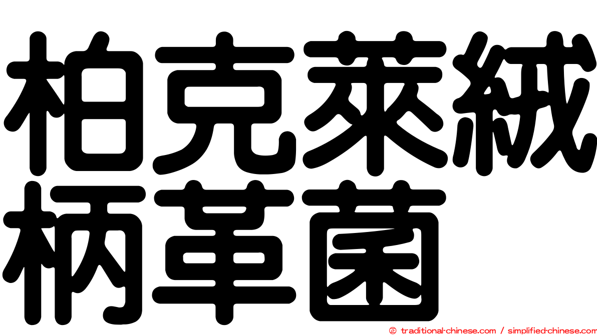 柏克萊絨柄革菌