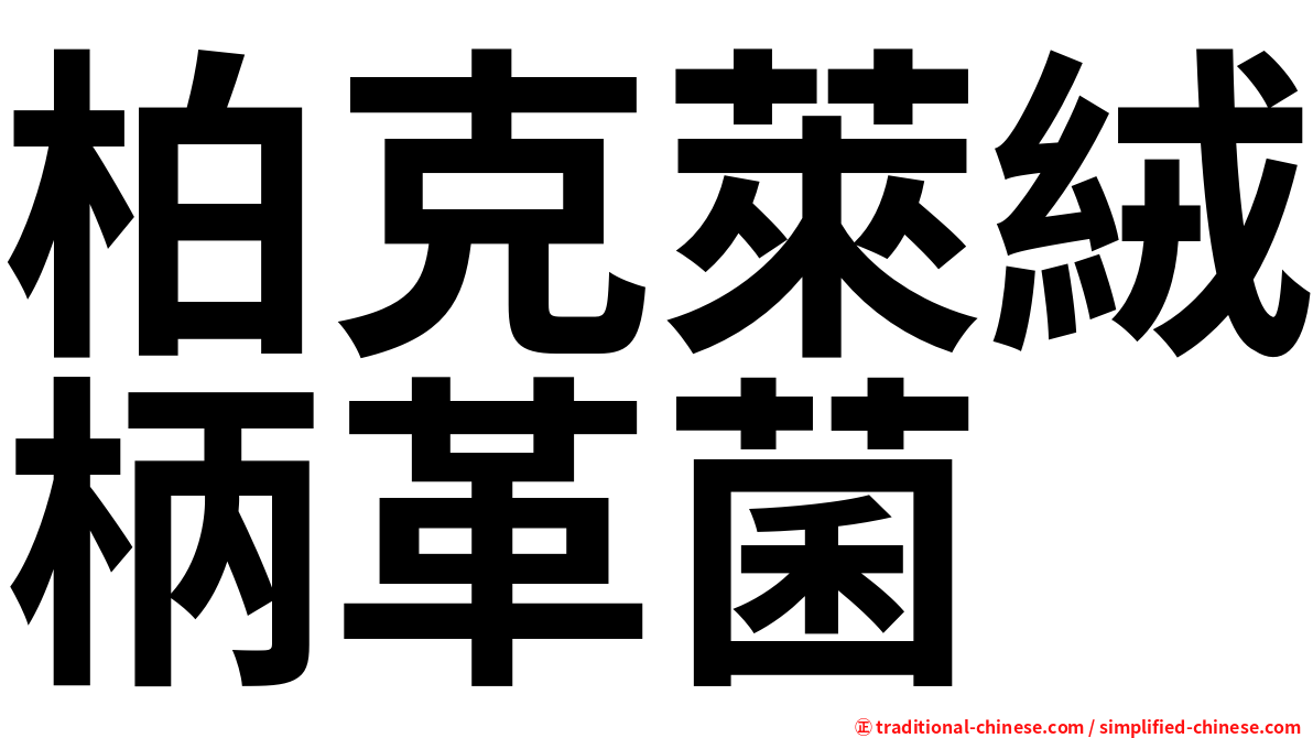柏克萊絨柄革菌