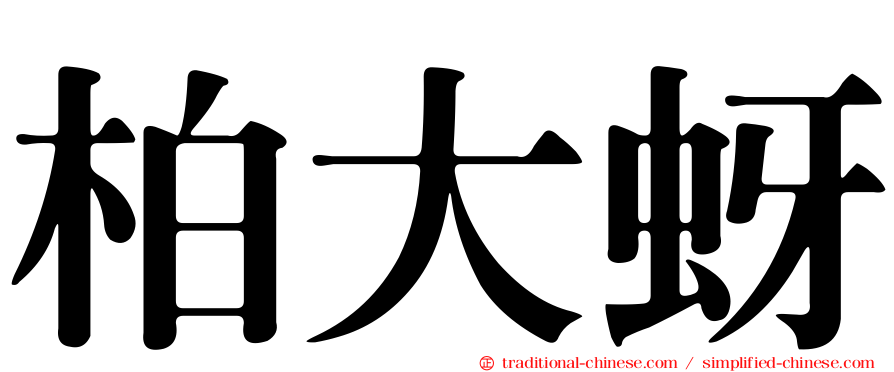 柏大蚜