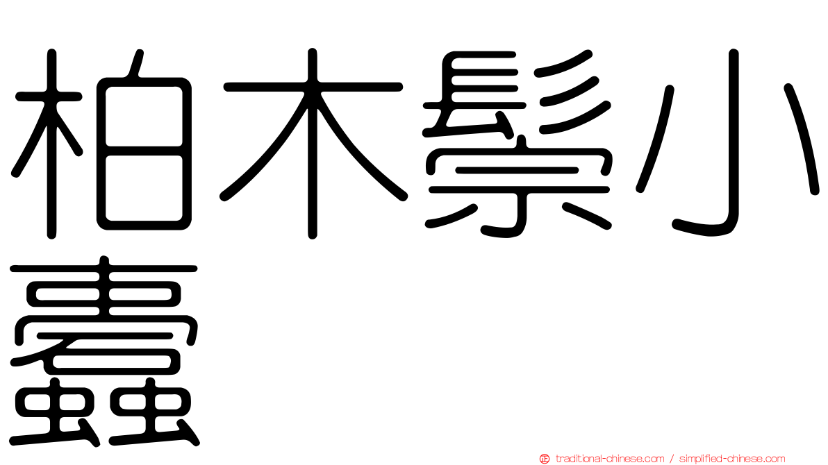 柏木鬃小蠹