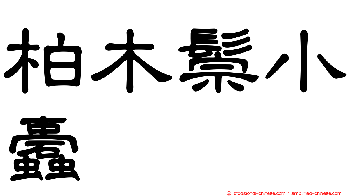 柏木鬃小蠹