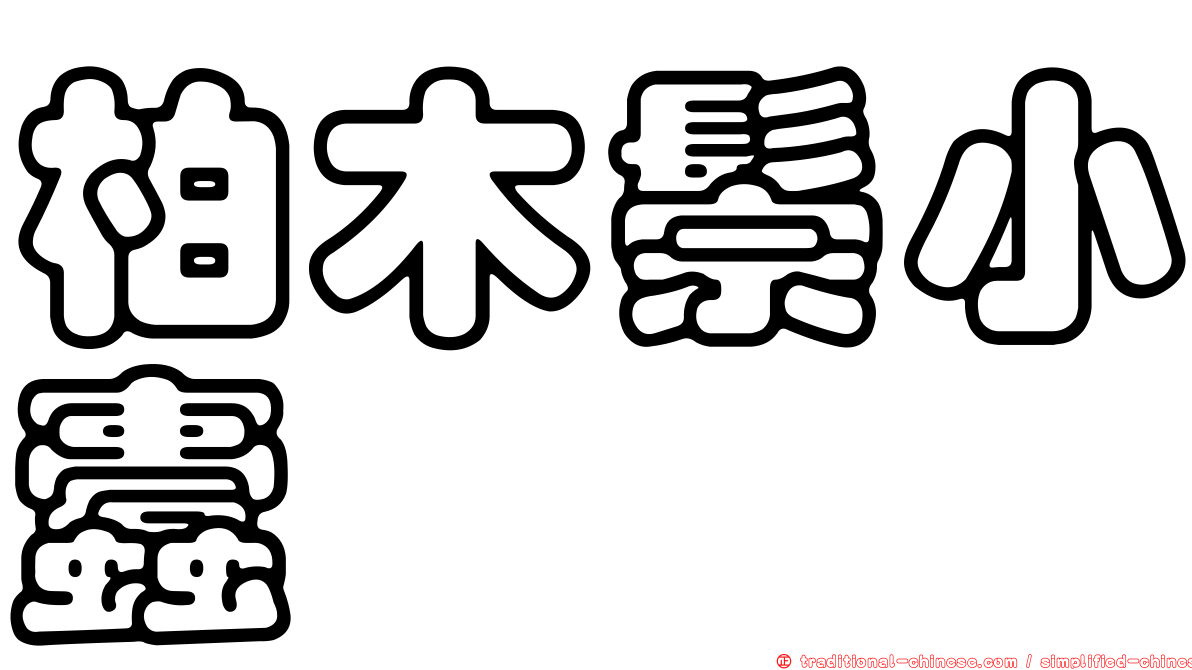 柏木鬃小蠹