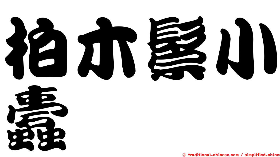 柏木鬃小蠹
