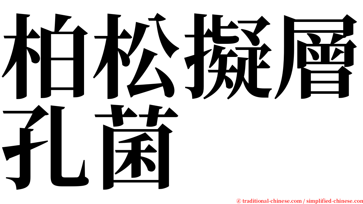 柏松擬層孔菌 serif font