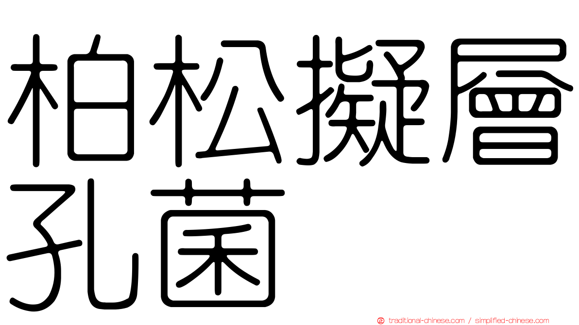 柏松擬層孔菌