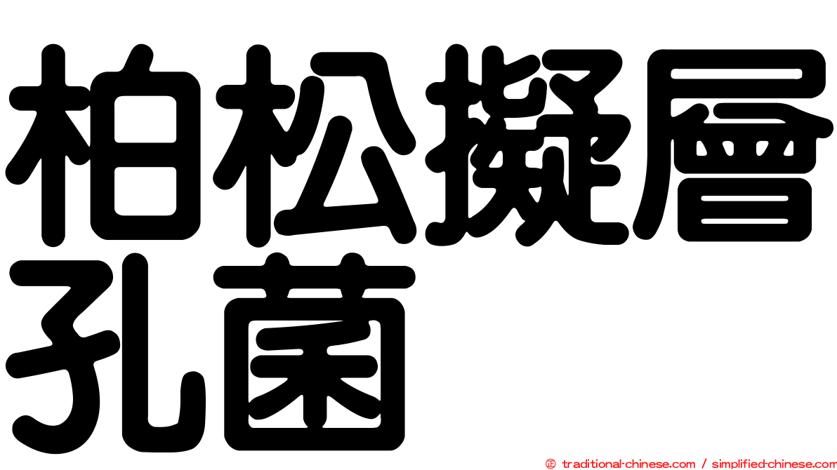 柏松擬層孔菌
