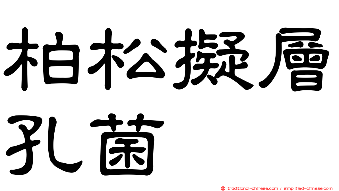 柏松擬層孔菌
