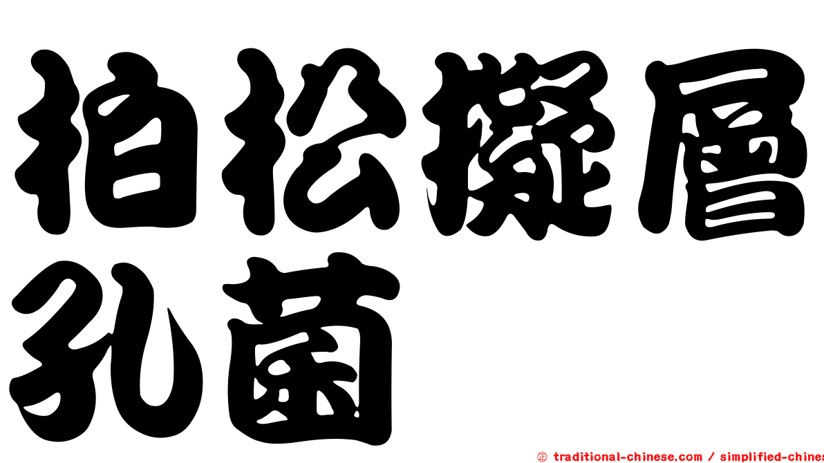柏松擬層孔菌