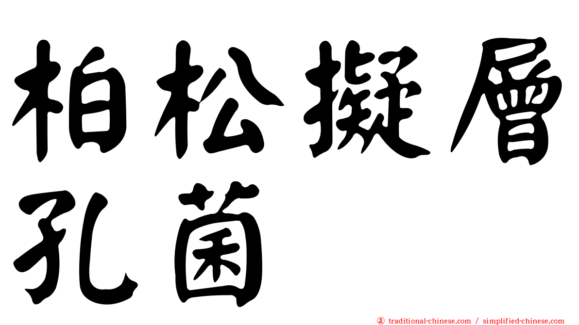 柏松擬層孔菌