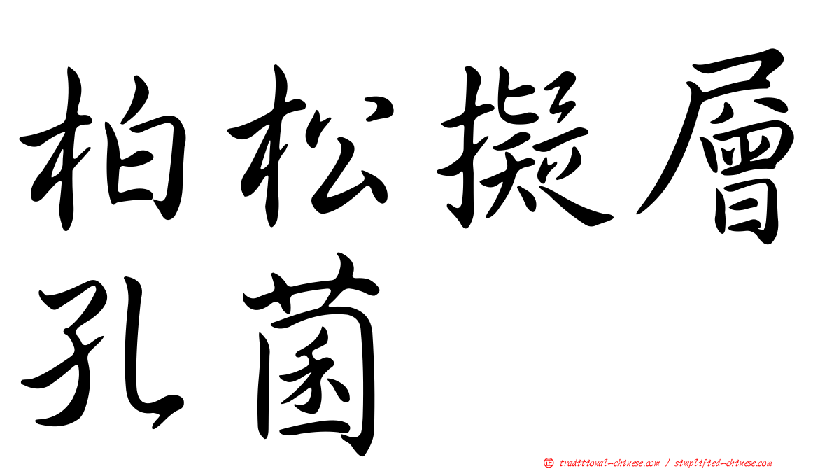柏松擬層孔菌