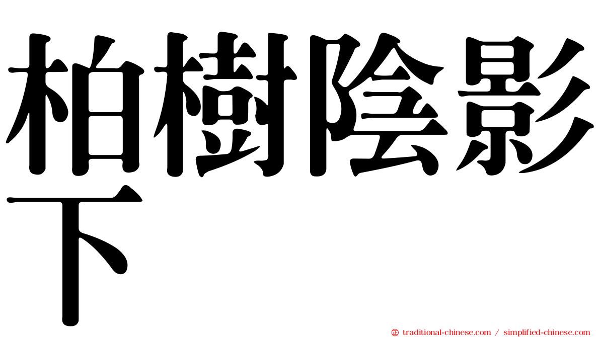 柏樹陰影下