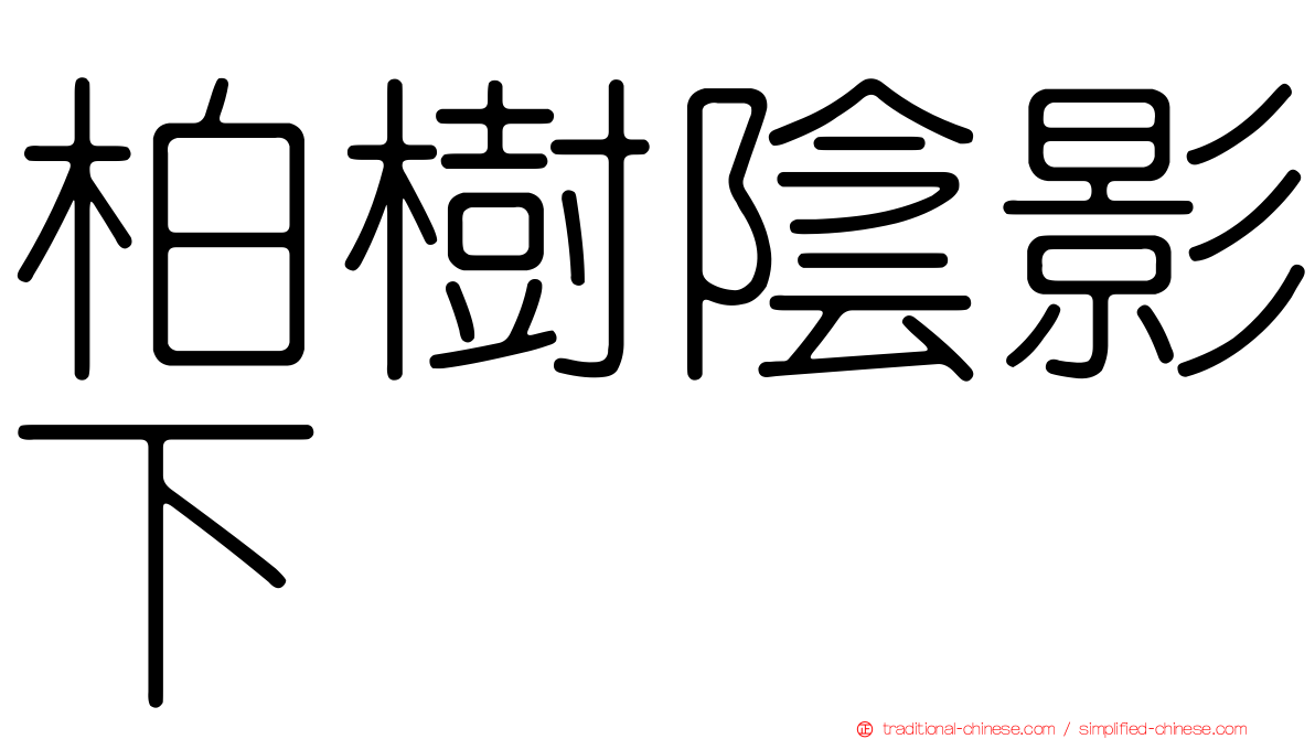 柏樹陰影下