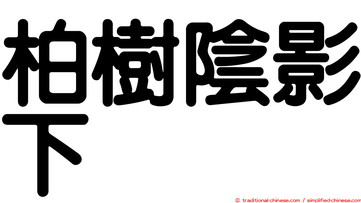 柏樹陰影下