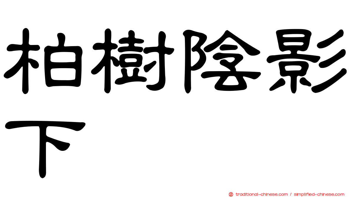 柏樹陰影下