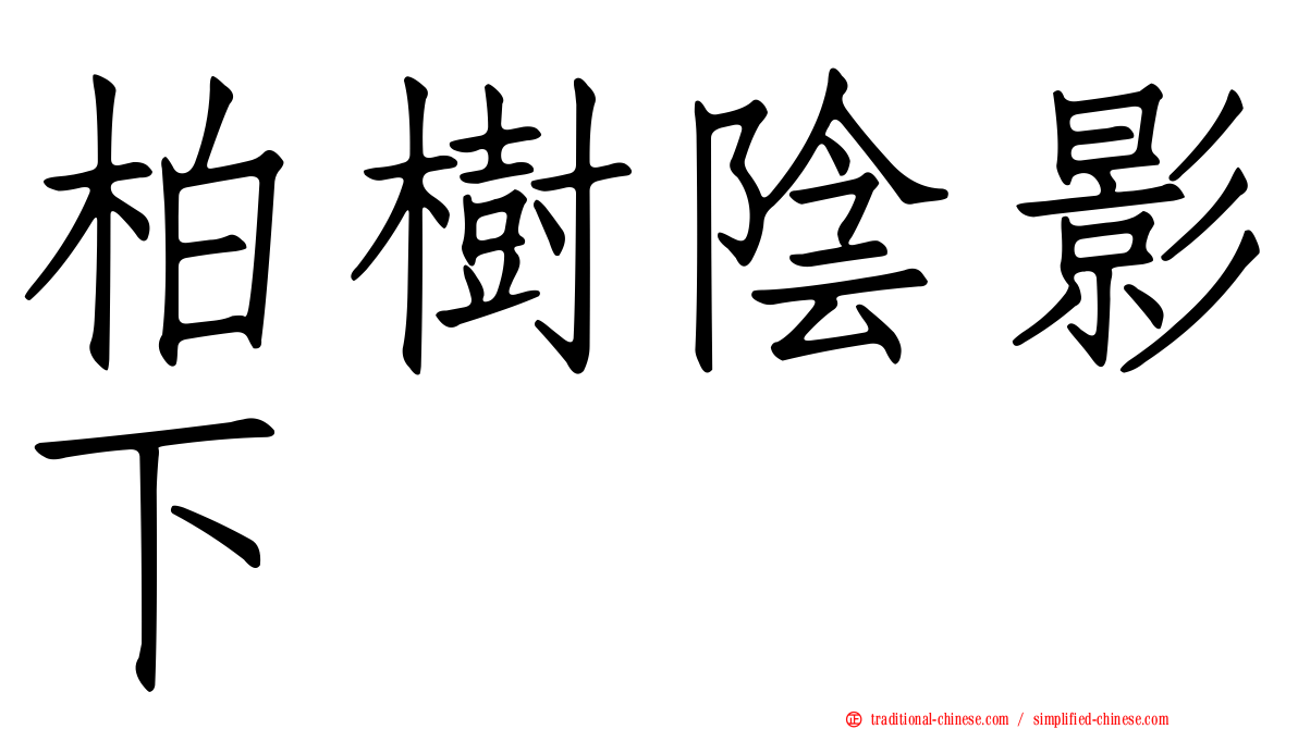 柏樹陰影下