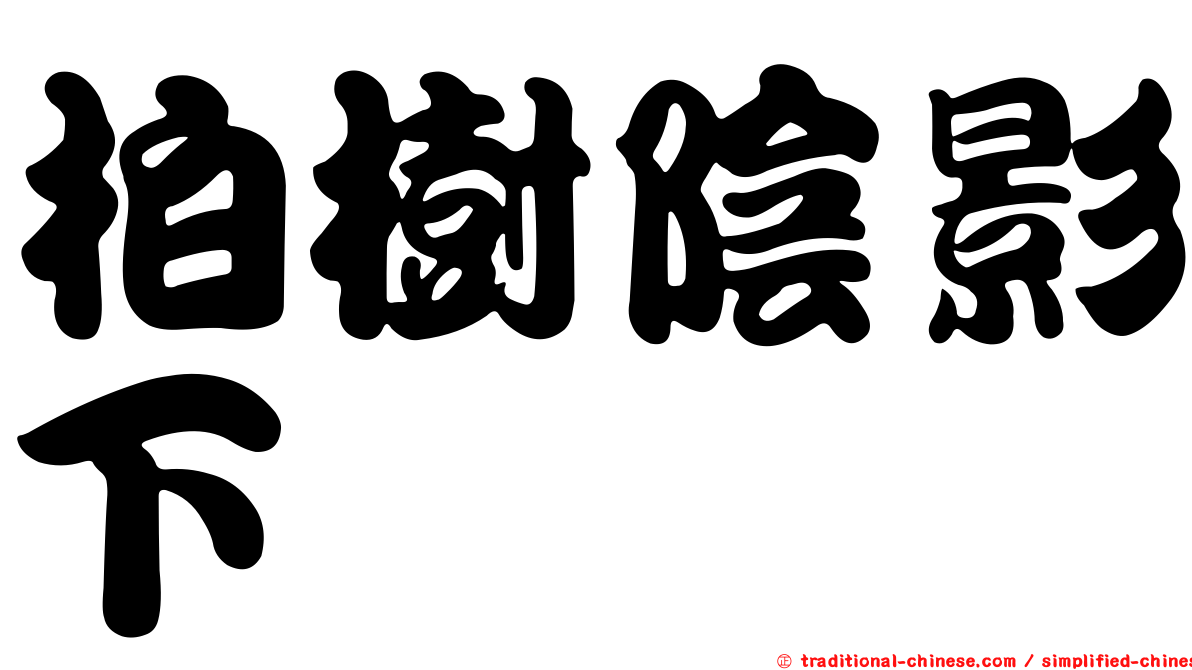 柏樹陰影下