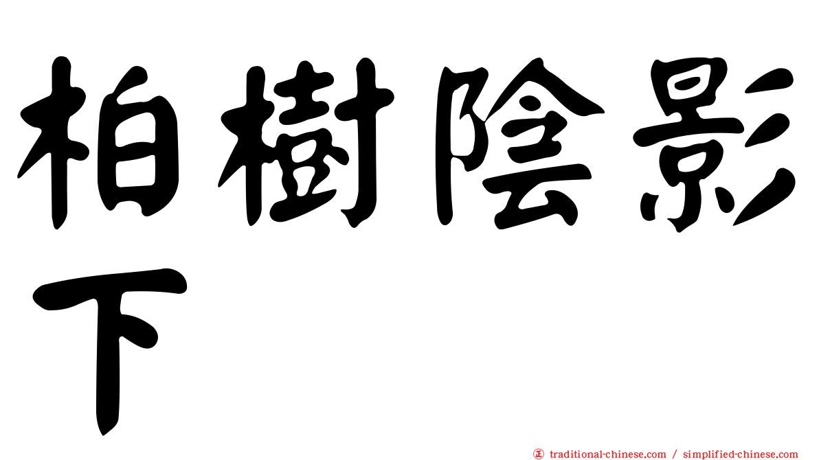 柏樹陰影下