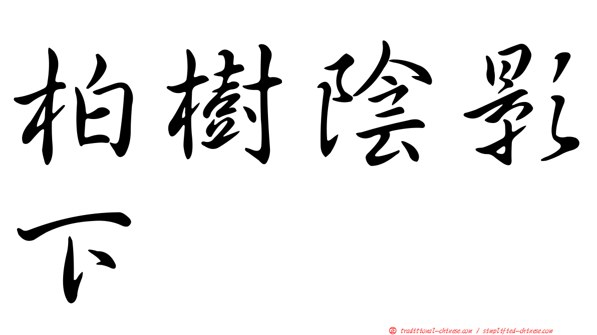 柏樹陰影下