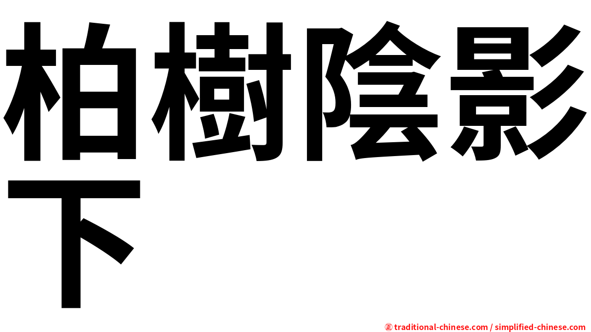 柏樹陰影下