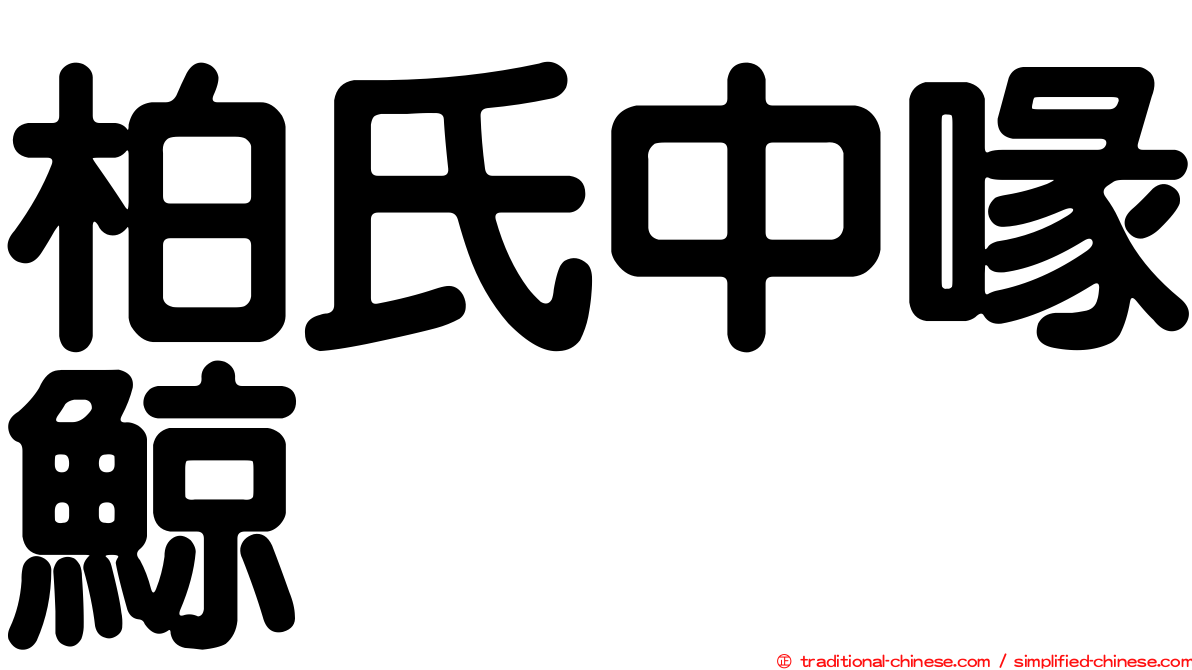 柏氏中喙鯨