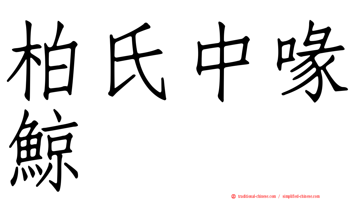 柏氏中喙鯨
