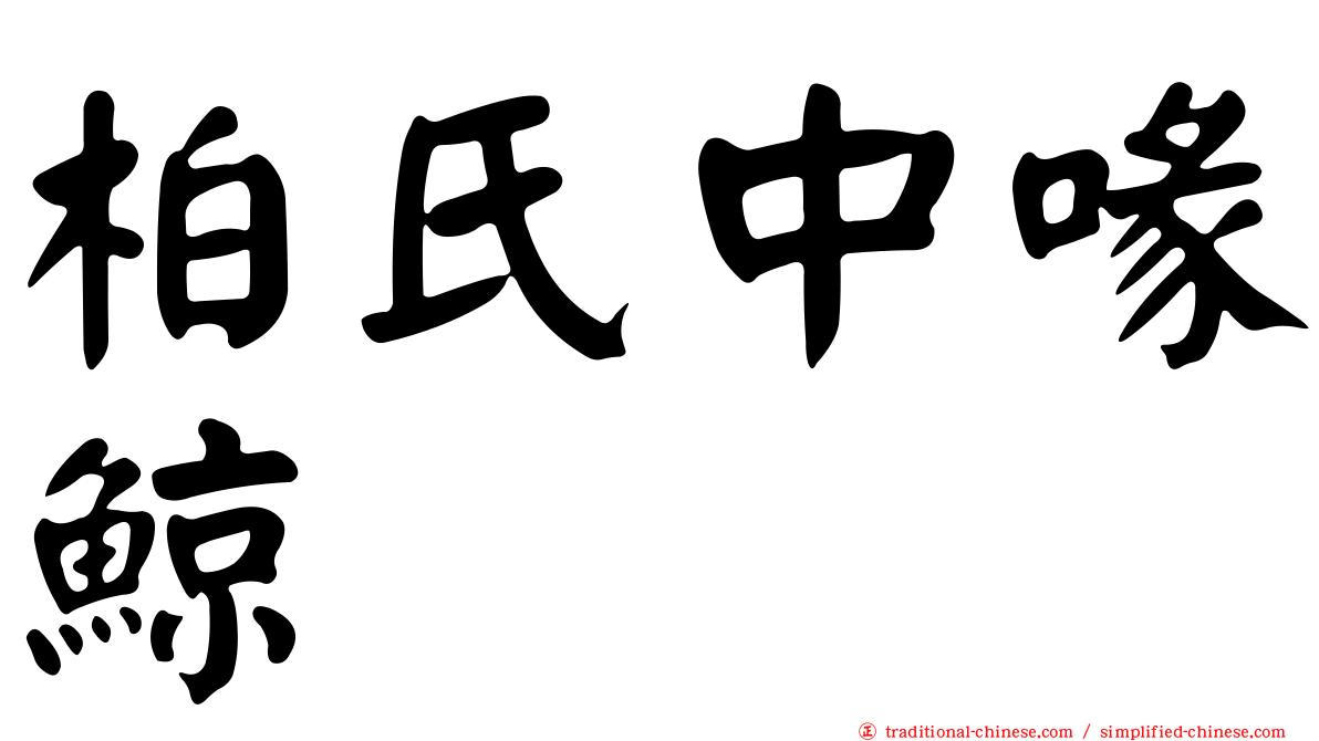 柏氏中喙鯨