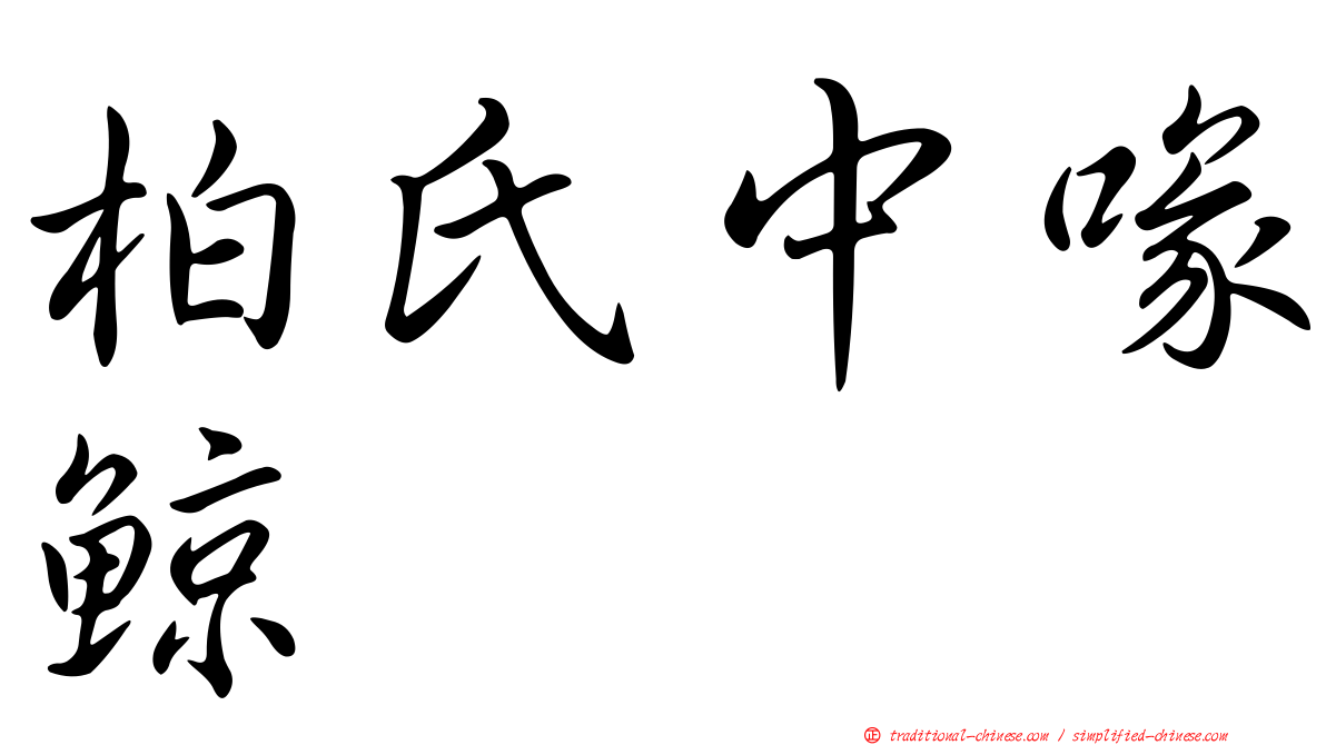 柏氏中喙鯨