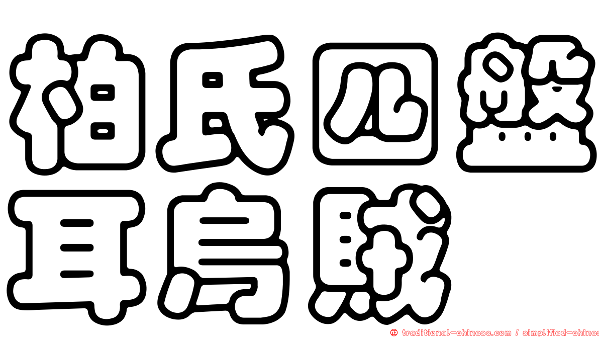 柏氏四盤耳烏賊
