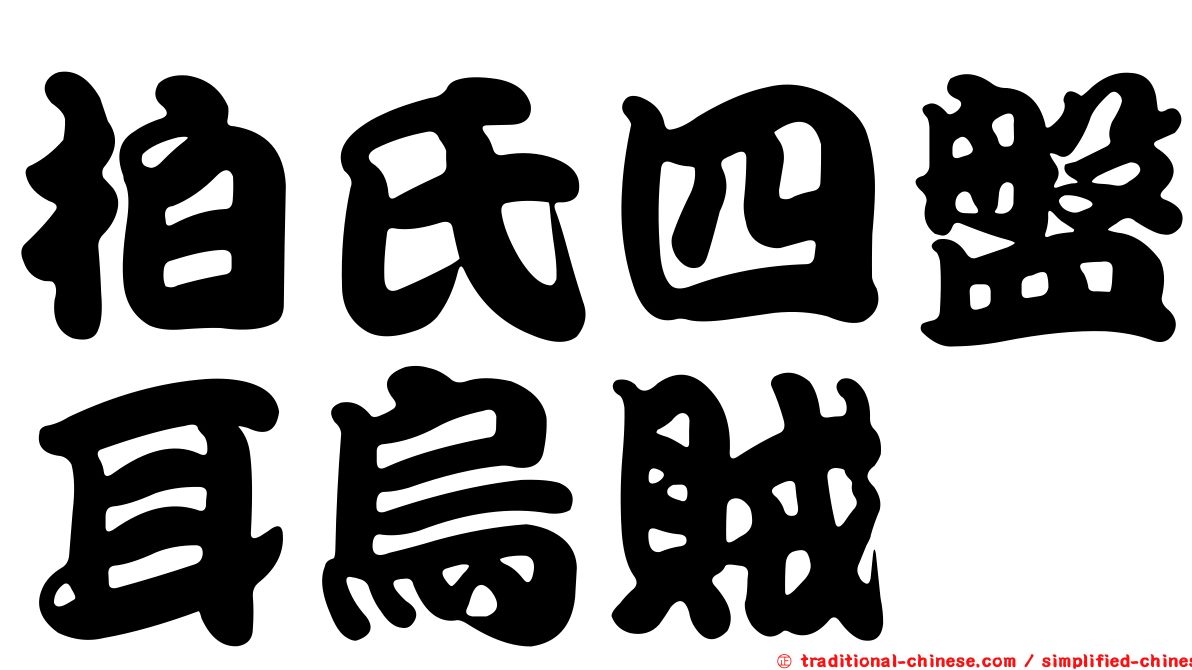 柏氏四盤耳烏賊