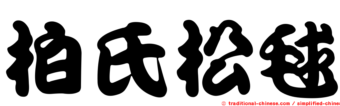 柏氏松毬