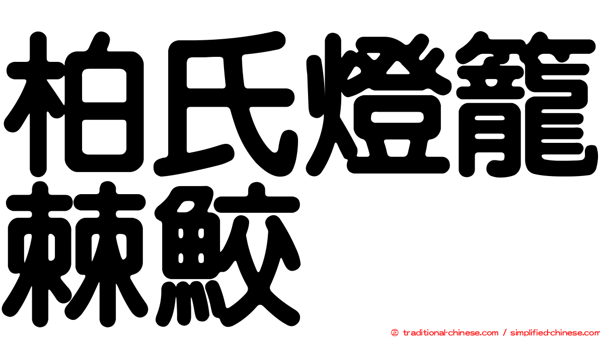 柏氏燈籠棘鮫