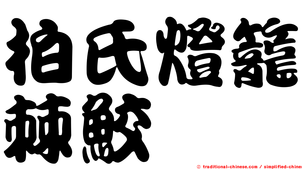 柏氏燈籠棘鮫