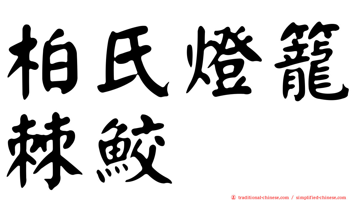 柏氏燈籠棘鮫