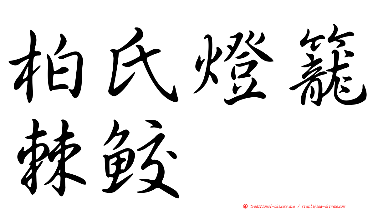 柏氏燈籠棘鮫