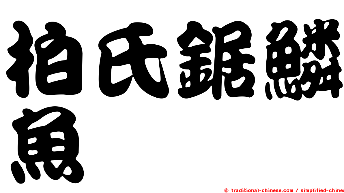 柏氏鋸鱗魚