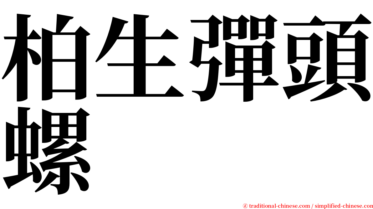 柏生彈頭螺 serif font