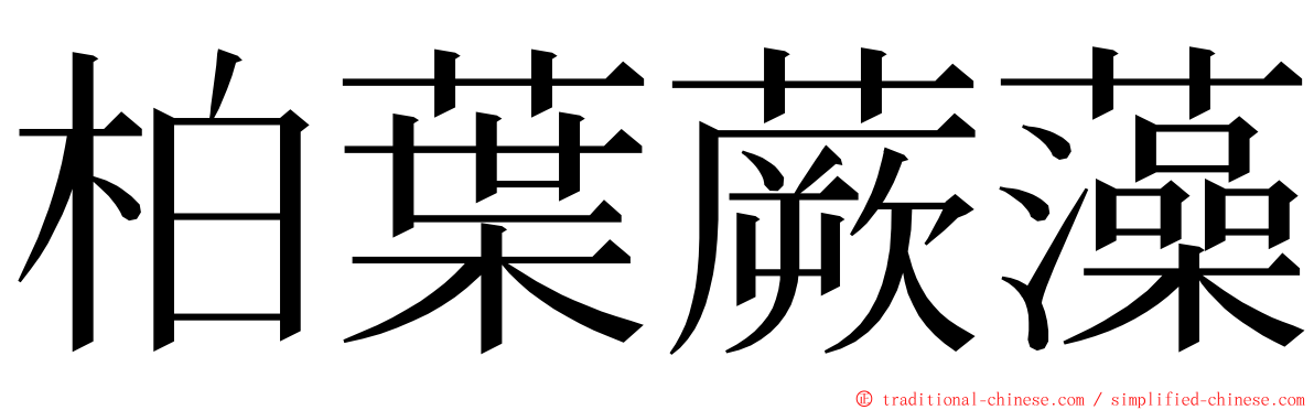 柏葉蕨藻 ming font